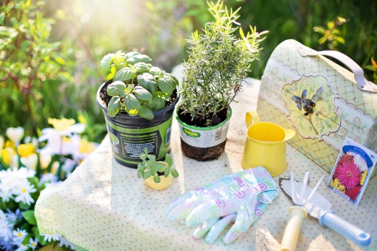 Basic Tools for Home Gardening