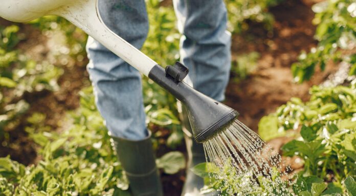 Start Little But Start Your Own Farm Or A Garden.