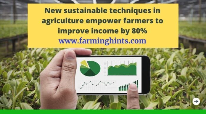 Zero Waste Agriculture : A step towards Sustainability Zero Waste Farming