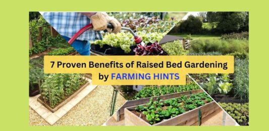 7 Proven Benefits of Raised Bed Gardening Proven benefits of raised bed gardening