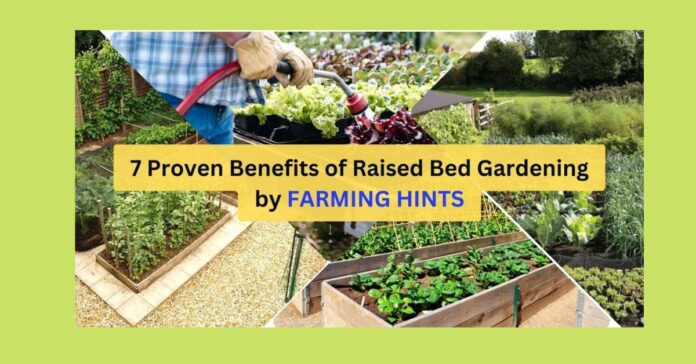 Proven benefits of raised bed gardening