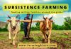What is Subsistence Farming? subsistence farming