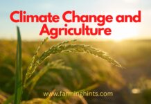 Climate Change and Agriculture Climate change and agriculture