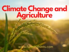 Climate Change and Agriculture Climate change and agriculture