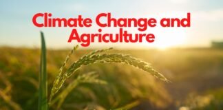 Climate Change and Agriculture Climate change and agriculture
