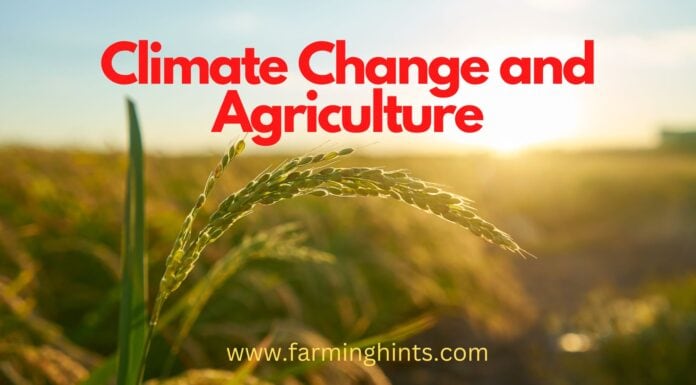 Climate Change and Agriculture Climate change and agriculture