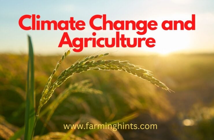 Climate change and agriculture