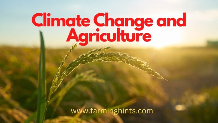 Climate Change and Agriculture
